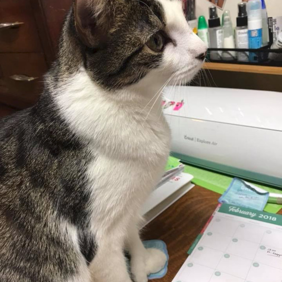 About me! - Picture 4 of 8